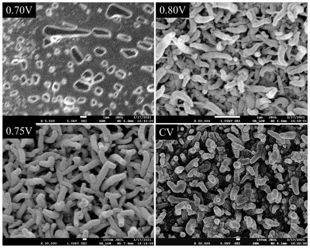 Preparation method and application of conductive polymer nanowire biosensor