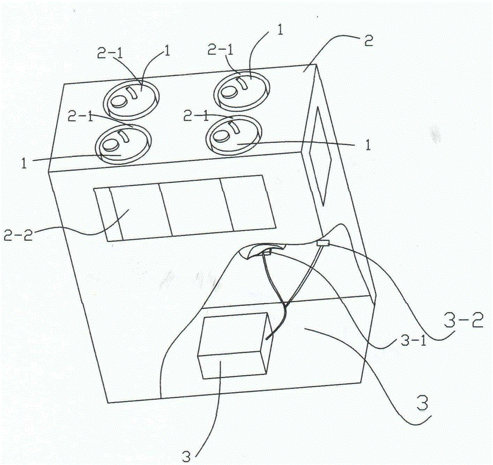 Concentrated ink supply device having vibration function