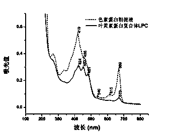 Extracting and purifying method of chlorella lutein protein complex