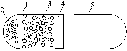 Timed controlled-release amlodipine capsule and preparation method thereof