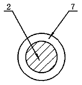 Injection-molded wire harness and molding method