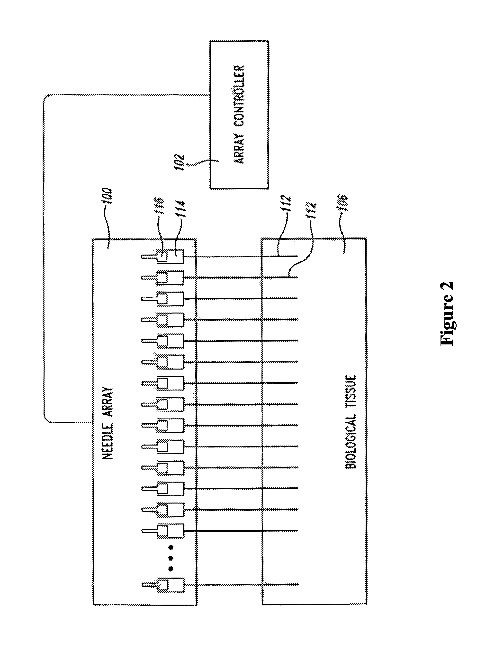 Therapeutic methods and compositions for solid delivery