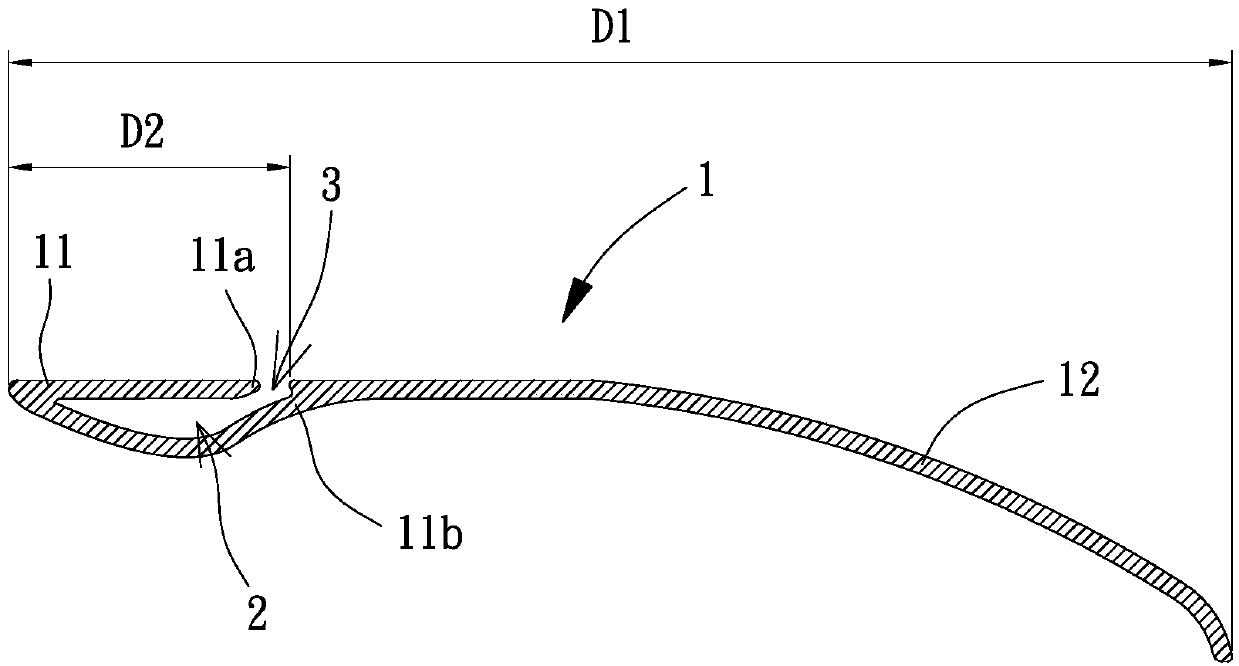 Ceiling fan blade