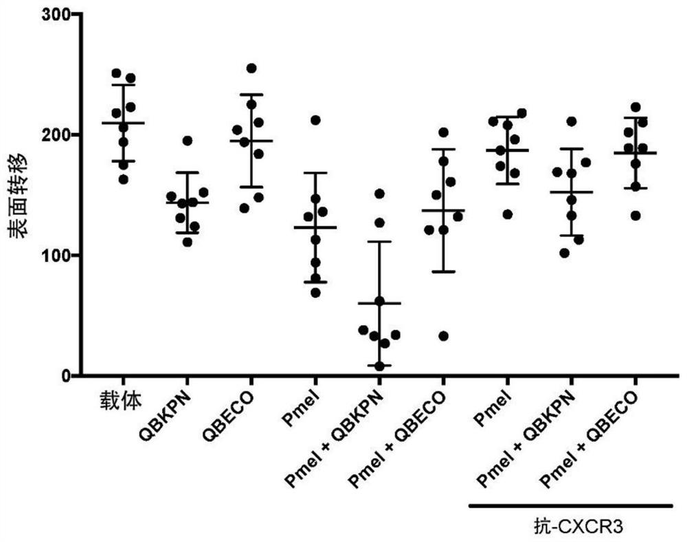 Innate targeting of adoptive cellular therapies