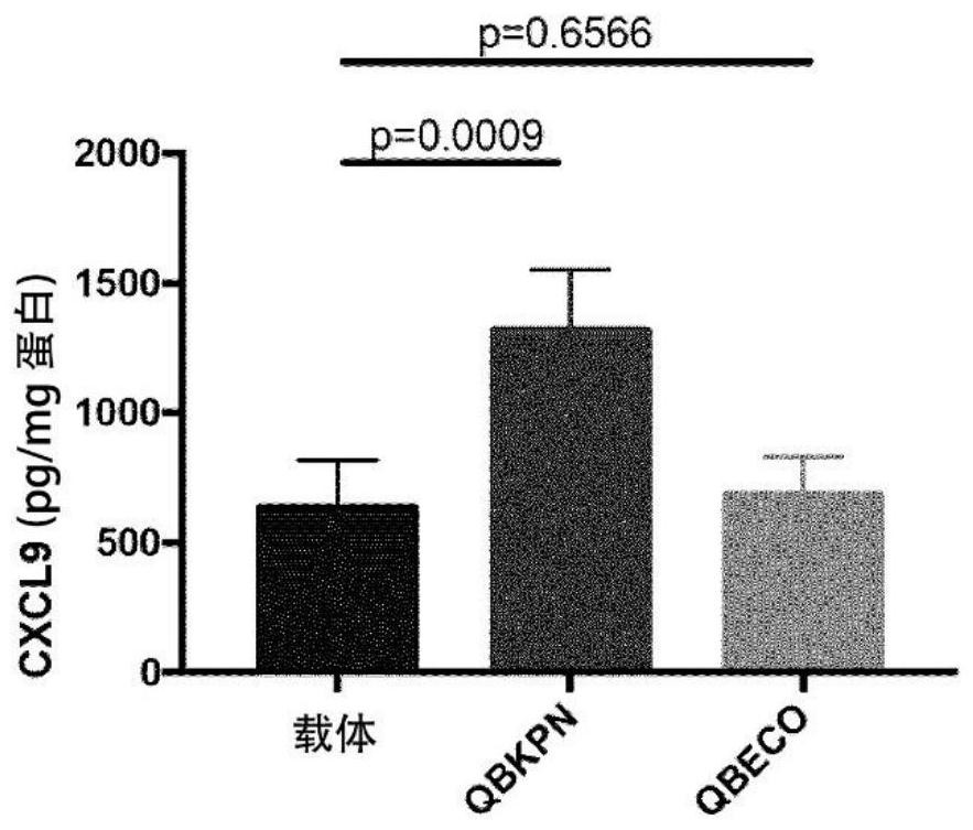 Innate targeting of adoptive cellular therapies