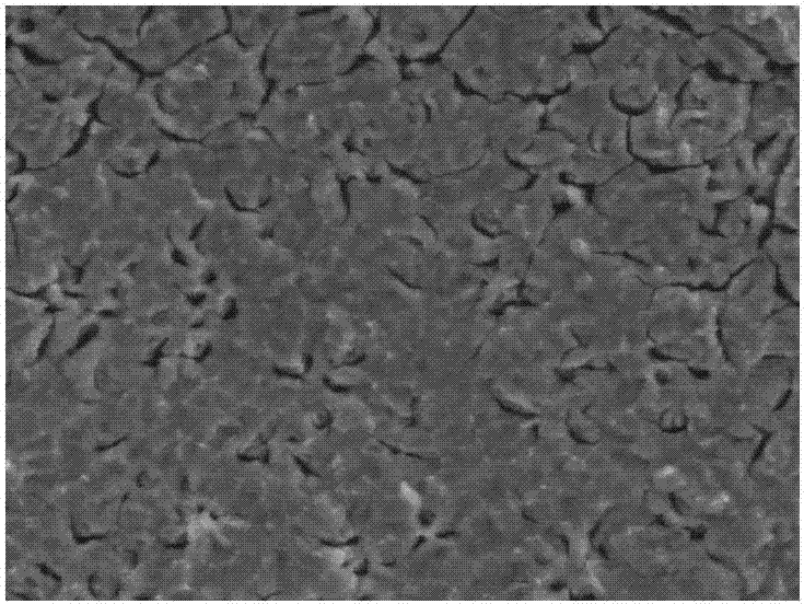 Hydrothermal preparation method of nickel passivated porous silicon