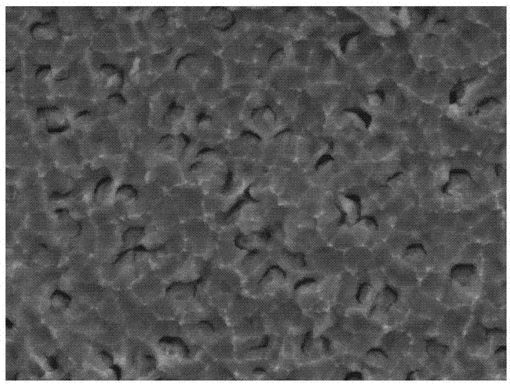 Hydrothermal preparation method of nickel passivated porous silicon