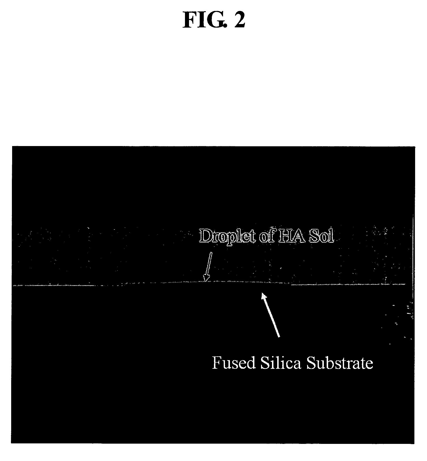 Method for producing polymeric sol of calcium phosphate compound and method for coating the same on a metal implant