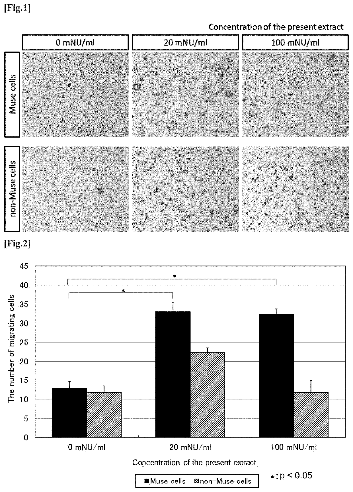 Agent for promoting migration of pluripotent stem cells