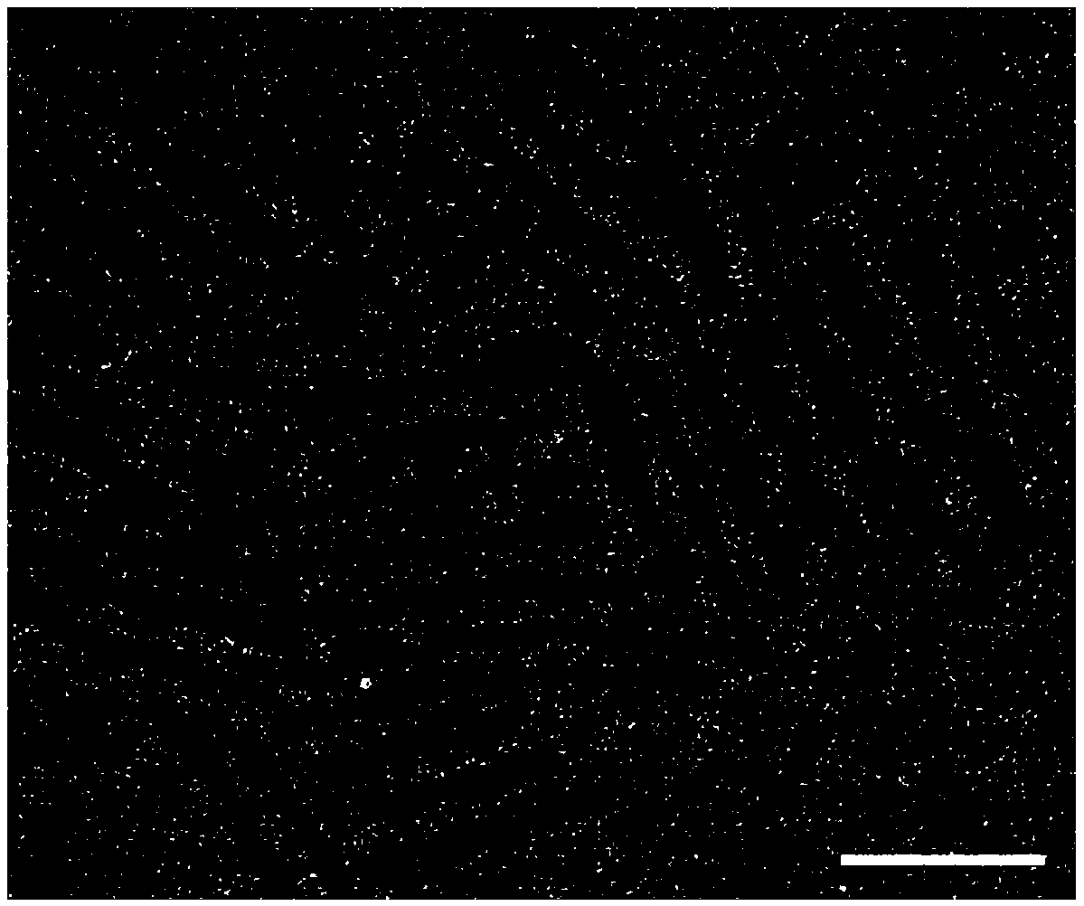 Ultrafine ptrh nanowire and its catalyst preparation method and application