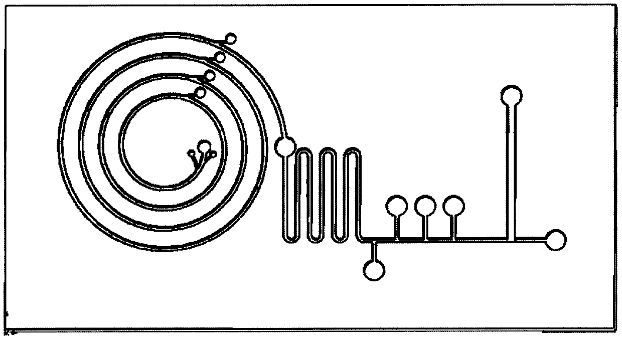 Micro-fluidic chip device for circulating tumor cell (CTC) detection