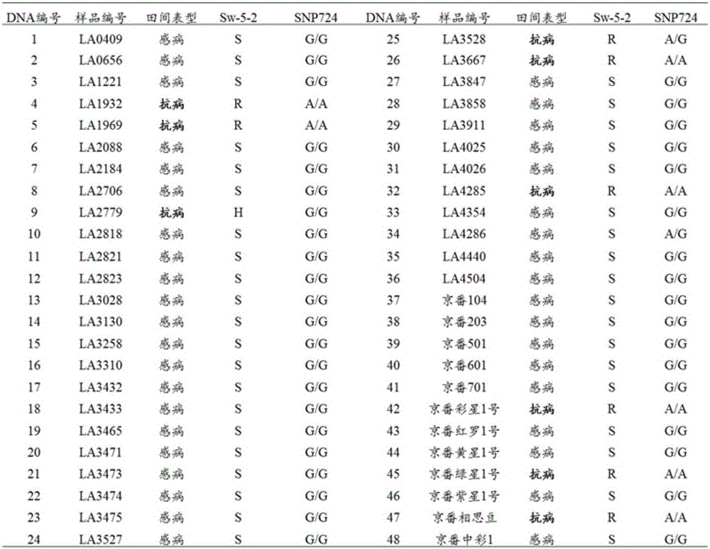 Tomato spotted wilt resistance gene Sw-5b close linkage SNP site acquisition and marker development