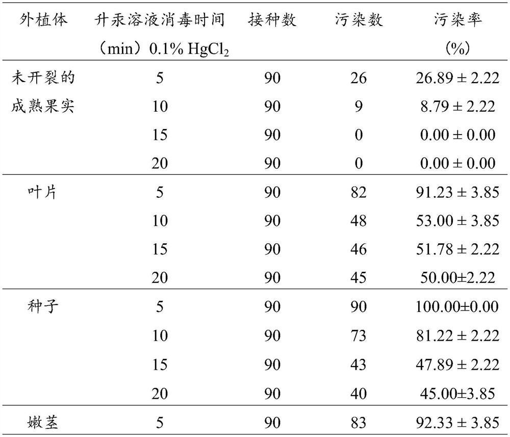 A kind of serial culture kit for regenerating Hooke ginger flower plant and its application