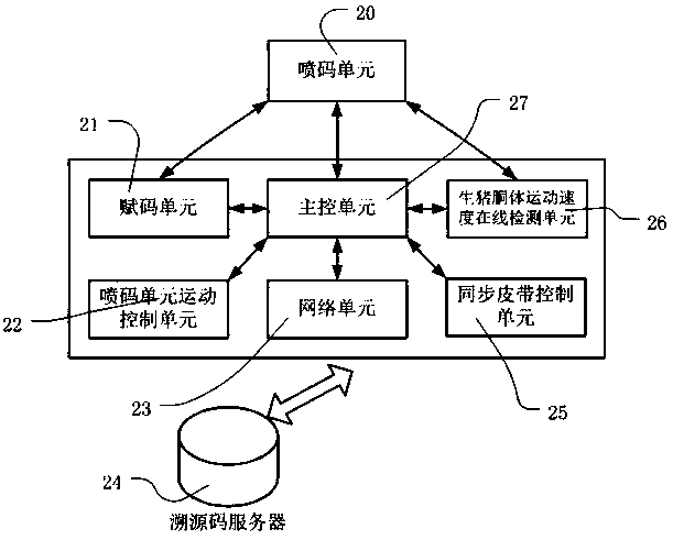 Livestock carcass skin marking device, system and marking method