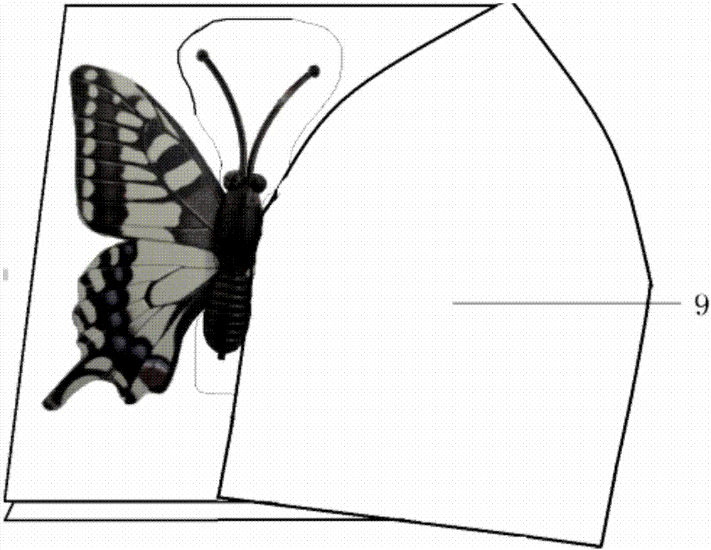 Method for making resin embedded Lepidoptera insect specimen