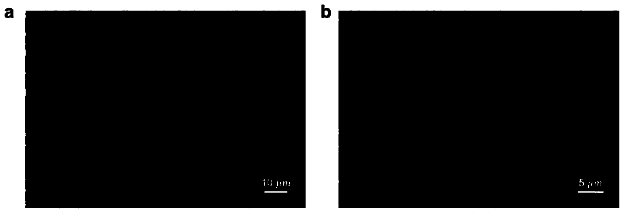 Chitosan-based pure physically-crosslinked double-network hydrogel and preparation method thereof