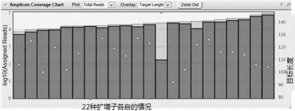 Fusion primer combination capable of rapidly constructing amplicon library