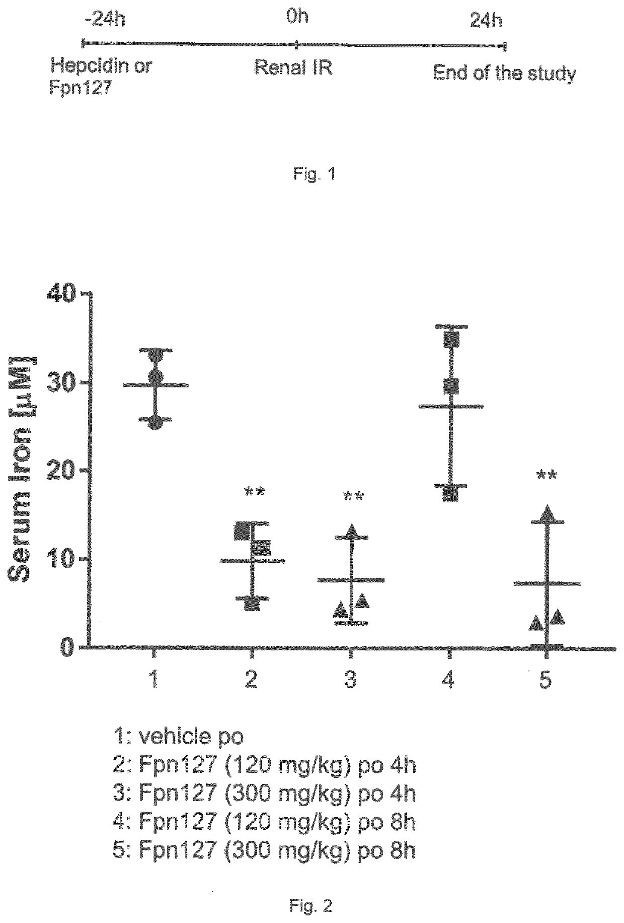 Ferroportin-Inhibitors For The Use In The Prevention And Treatment Of Kidney Injuries