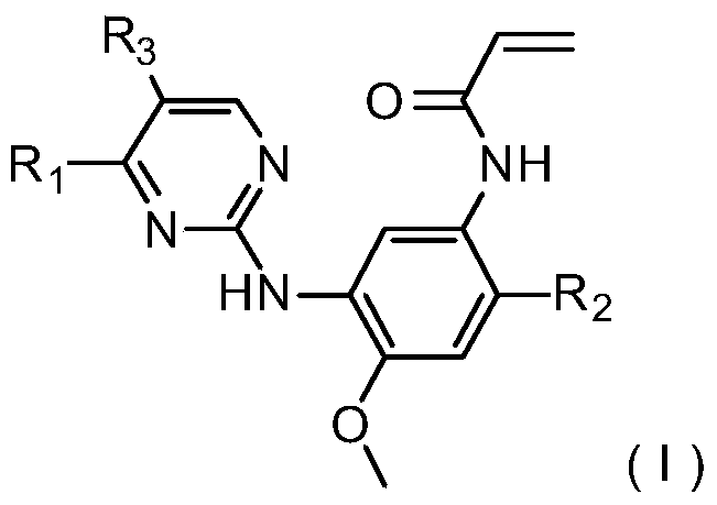 3-(4,5-substituted aminopyrimidine)phenyl derivatives and their applications