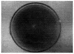 Fermented bean curd product and preparing method thereof