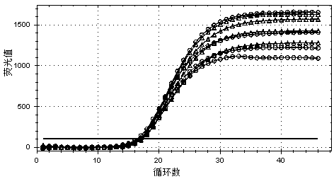 Method for extracting nucleic acid by using magnetic nanoparticles and application thereof