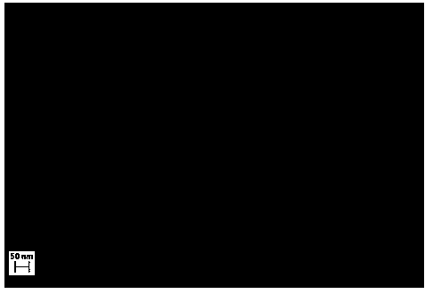 A lithium battery electrode material α-fe  <sub>2</sub> o  <sub>3</sub> The preparation method of nanosphere