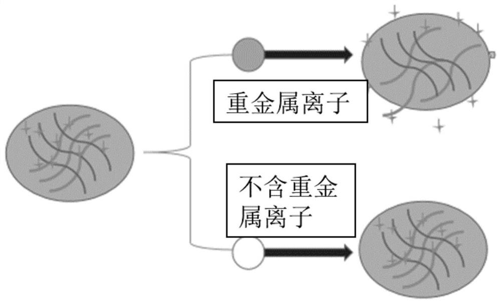 Heavy metal ion rapid detection method based on DNA hydrogel