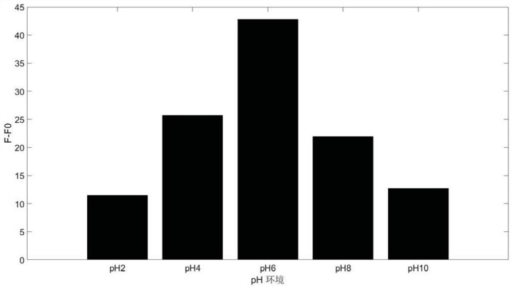 Heavy metal ion rapid detection method based on DNA hydrogel