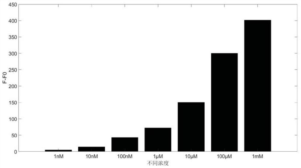 Heavy metal ion rapid detection method based on DNA hydrogel