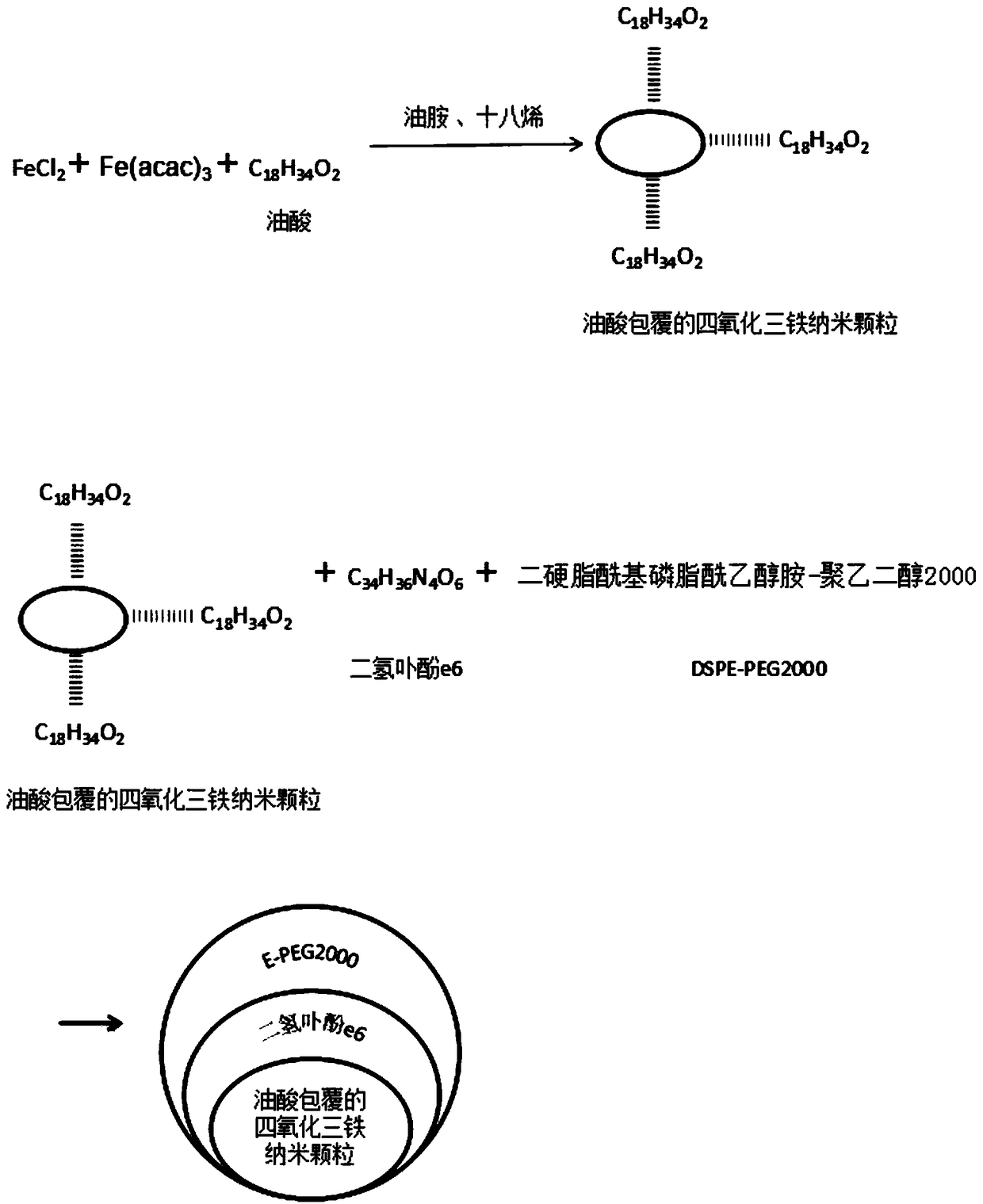 Preparation method of chlorin e6 and ferroferric oxide composite nanoparticle