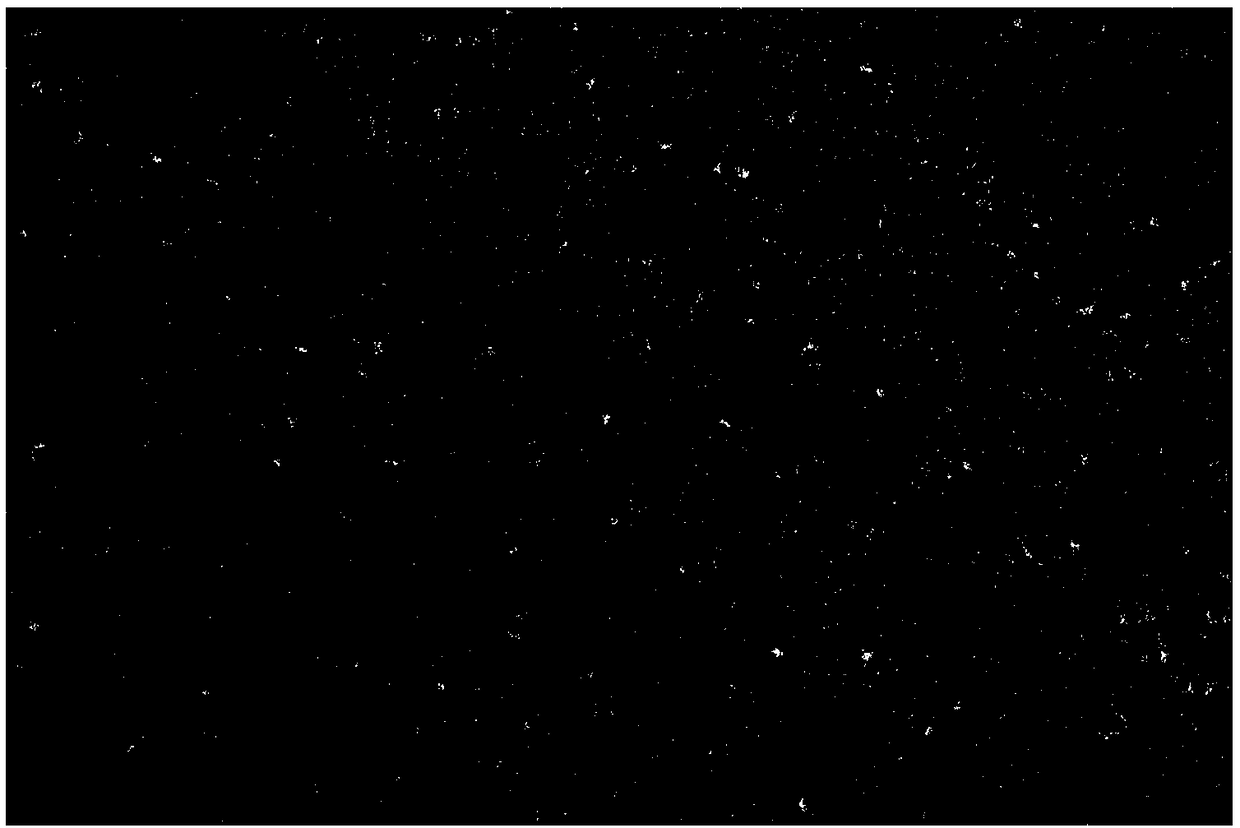 Preparation method of chlorin e6 and ferroferric oxide composite nanoparticle