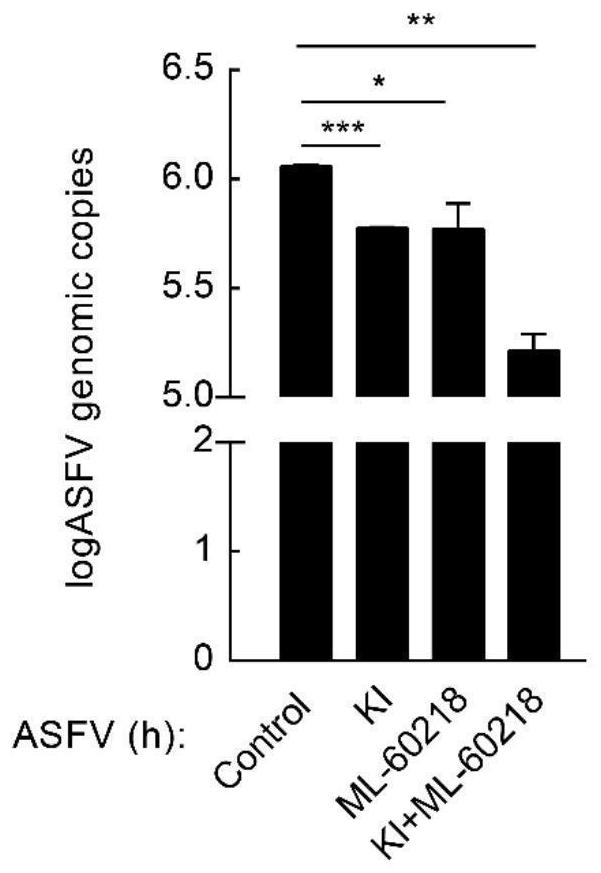 New application of potassium iodide or composition containing potassium iodide in preventing or treating African swine fever