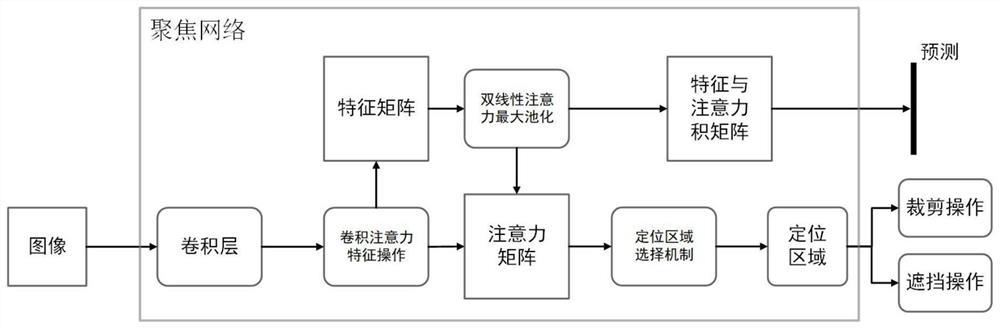 Fine-grained image classification method based on multilayer focusing attention network