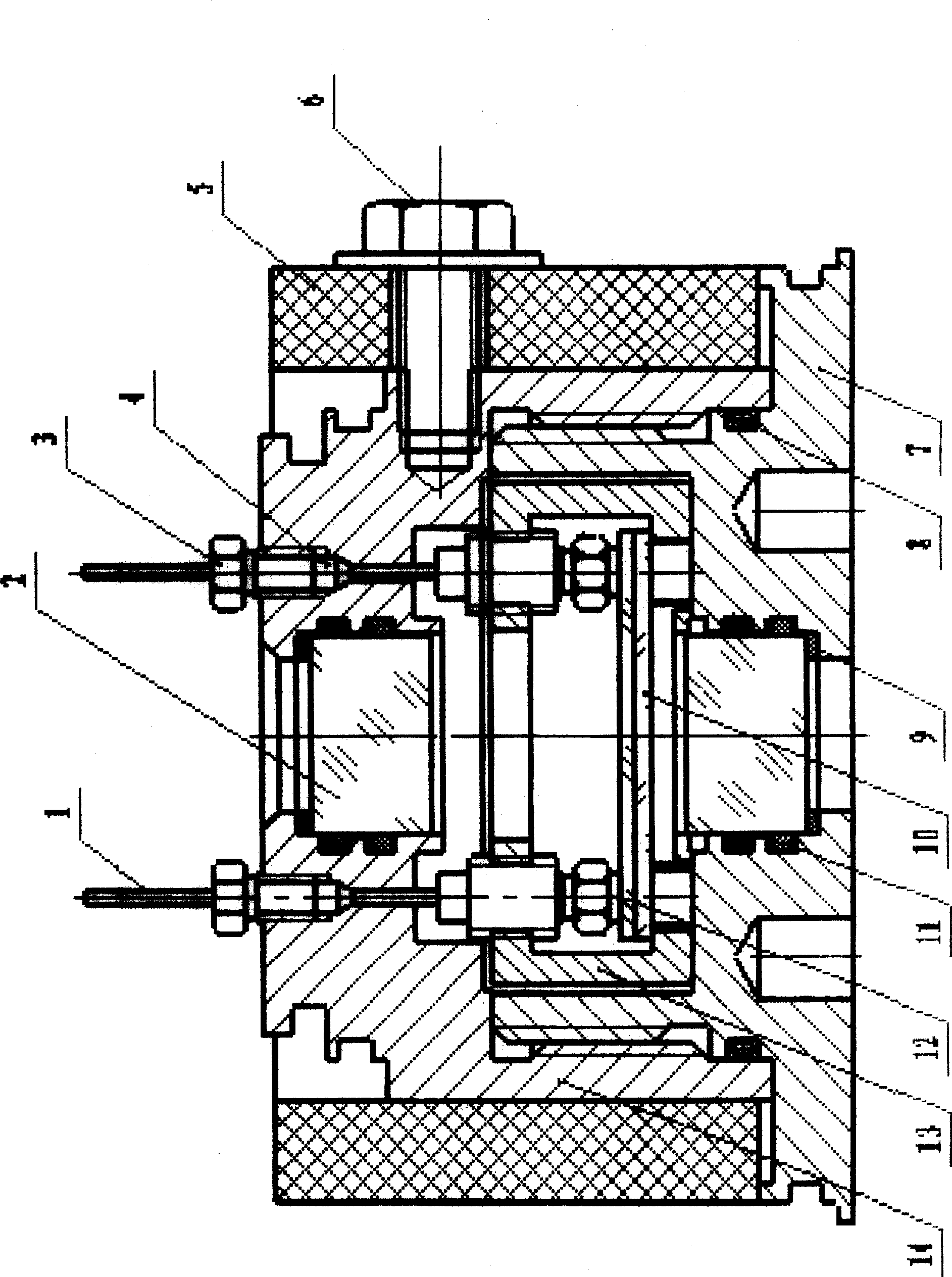 Holder for high-temperature high-pressure glass microscopic model