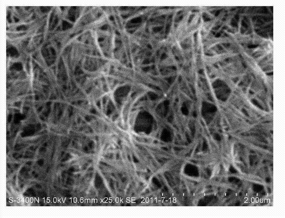 Preparation method of lanthanum phosphate nano-wires