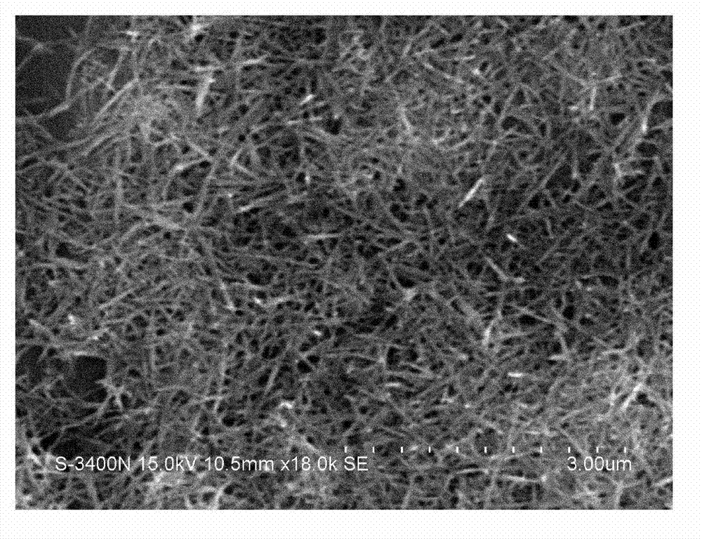 Preparation method of lanthanum phosphate nano-wires