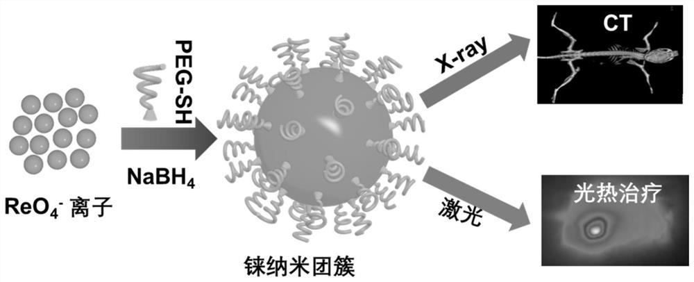 A degradable rhenium nanocluster for ct imaging and photothermal therapy and its preparation method and application