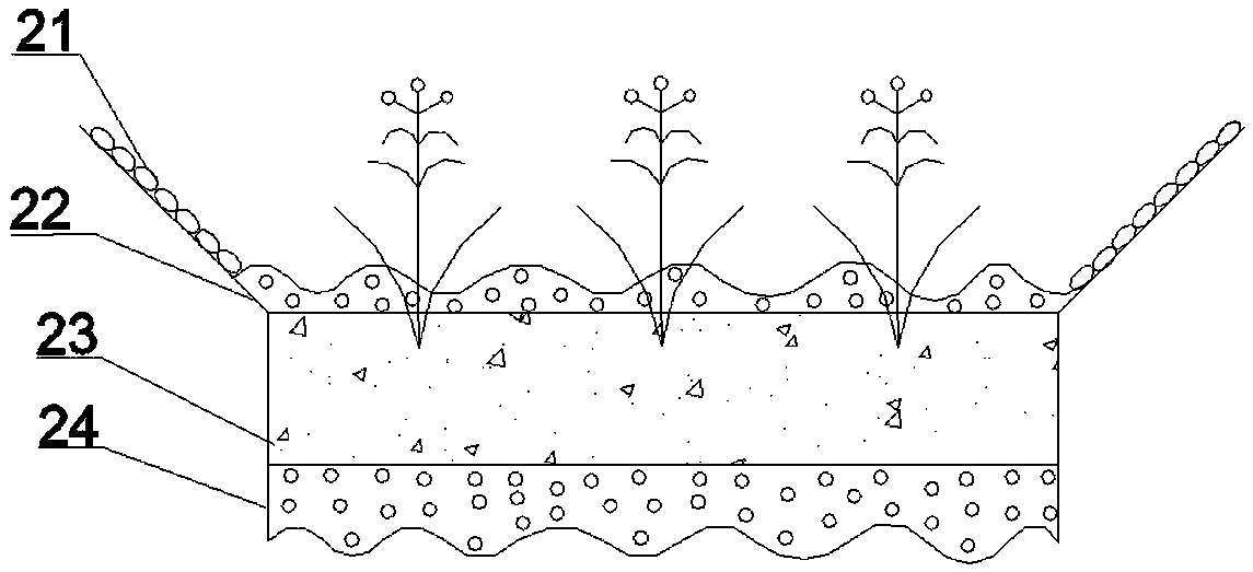 Rain garden suitable for monsoon climate