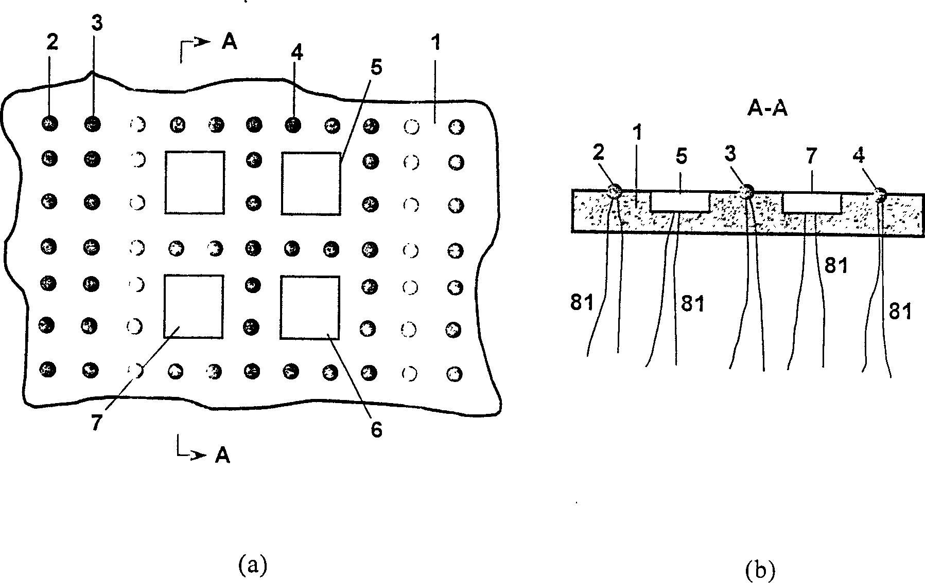 Digitizing system for human bod yinformation collection and analyzing process