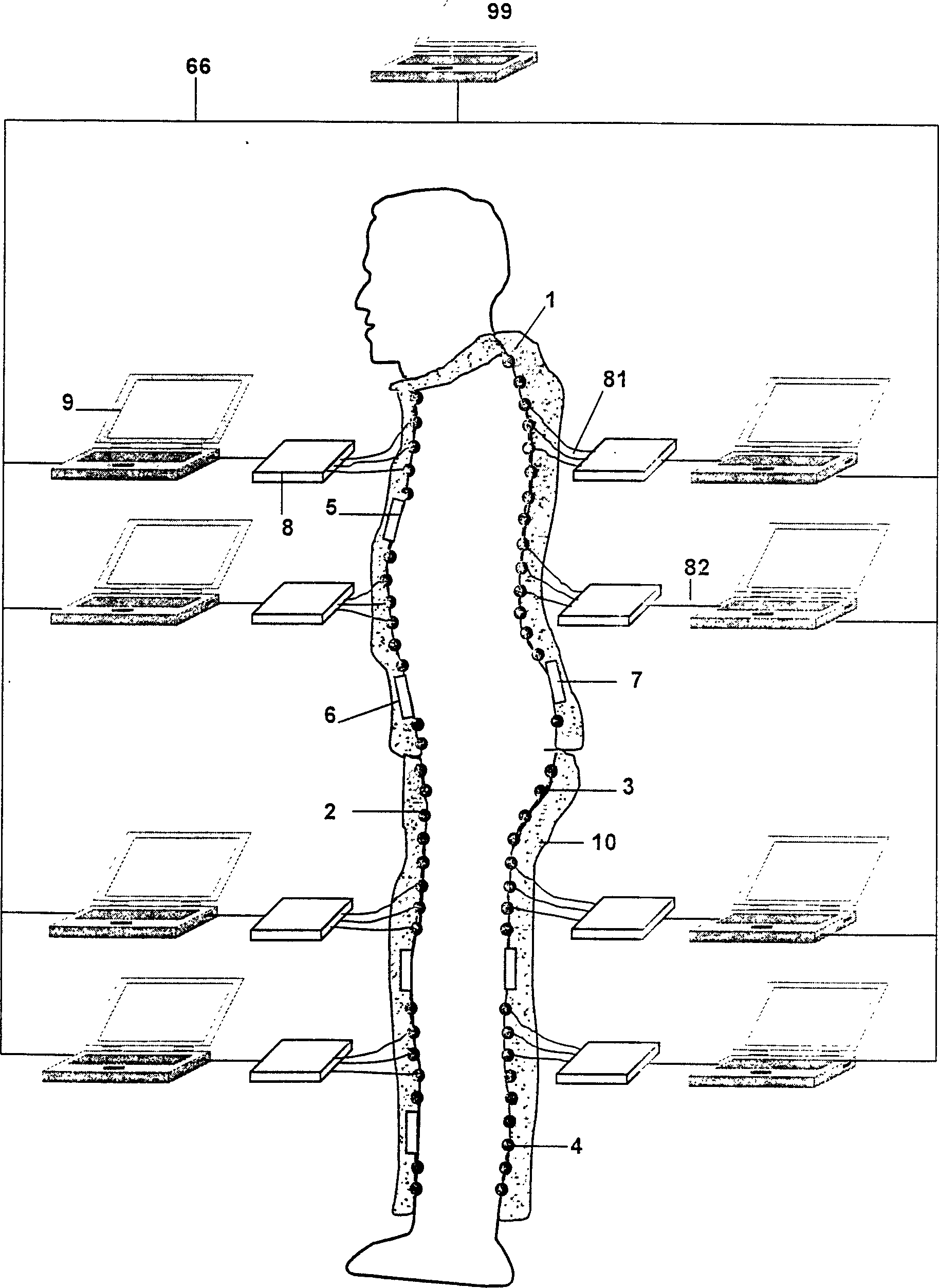 Digitizing system for human bod yinformation collection and analyzing process