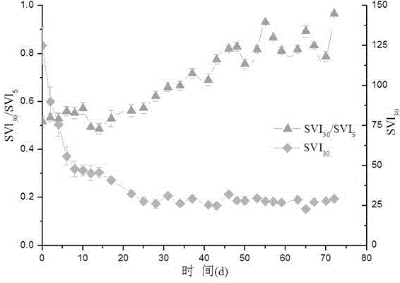 Sludge-water separate discharging method for strengthening stable operation of aerobic granular sludge process