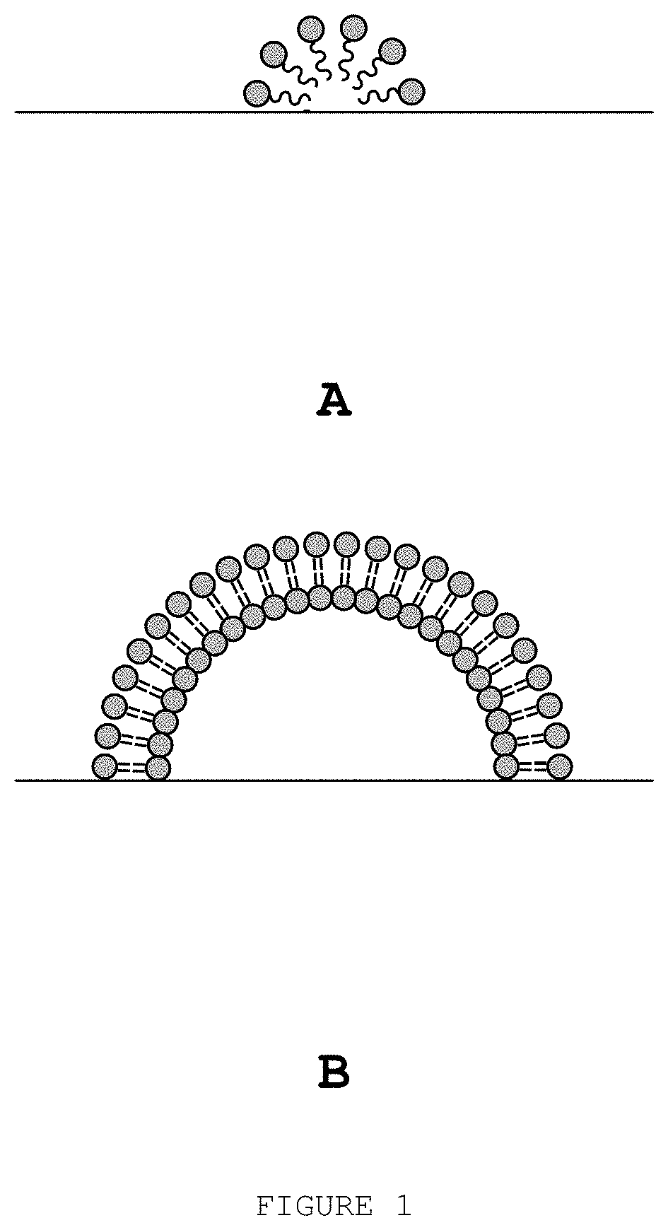 Biocompatible method of functionalising substrates with inert surfaces