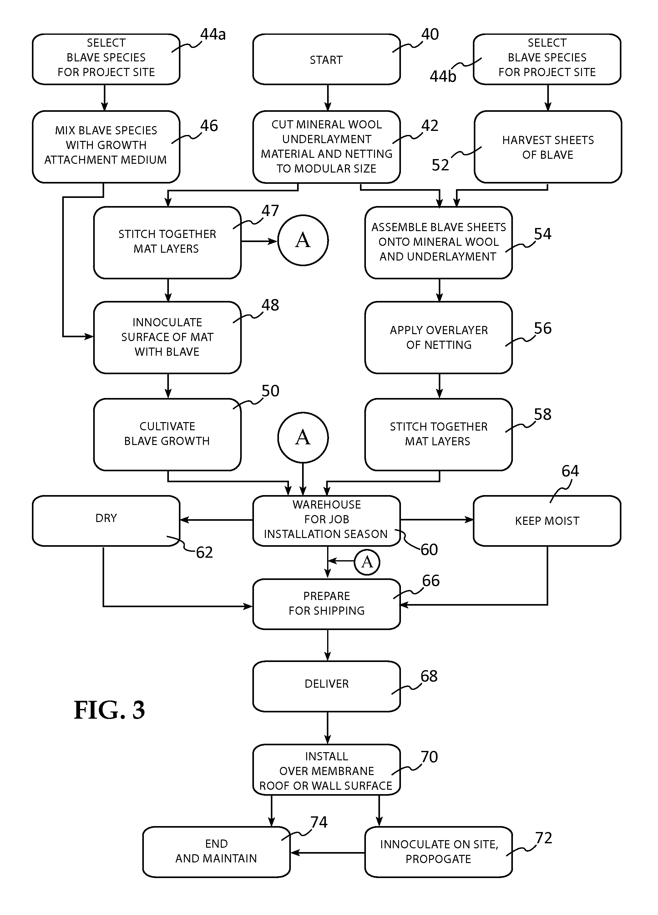 Living roof and wall systems using cultivated mineral wool mats to support BLAVEs, methods of cultivation and innoculants therefor