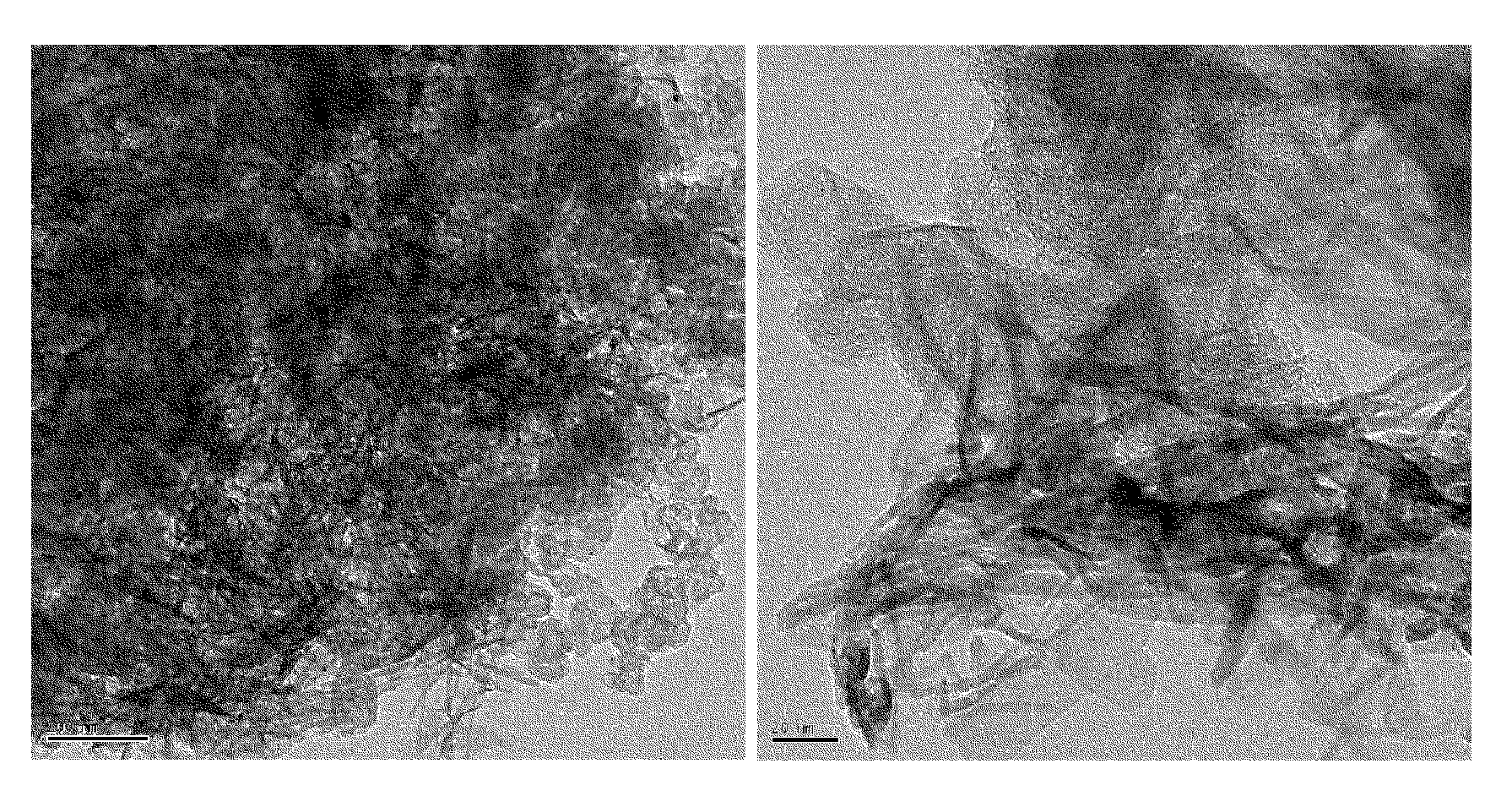 METHOD FOR PREPARING MnO2/CARBON COMPOSITE, MNO2/CARBON COMPOSITE PREPARED BY THE METHOD, AND LITHIUM-AIR SECONDARY BATTERY INCLUDING THE COMPOSITE