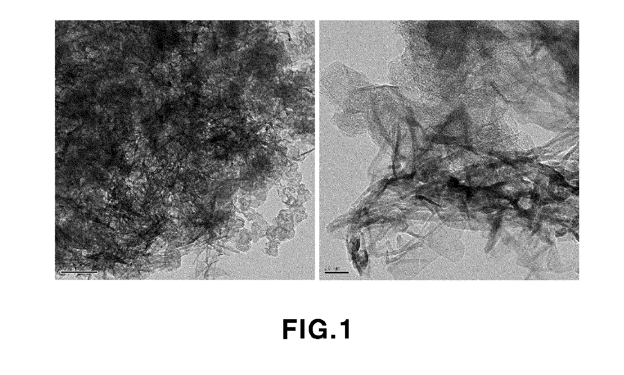 METHOD FOR PREPARING MnO2/CARBON COMPOSITE, MNO2/CARBON COMPOSITE PREPARED BY THE METHOD, AND LITHIUM-AIR SECONDARY BATTERY INCLUDING THE COMPOSITE