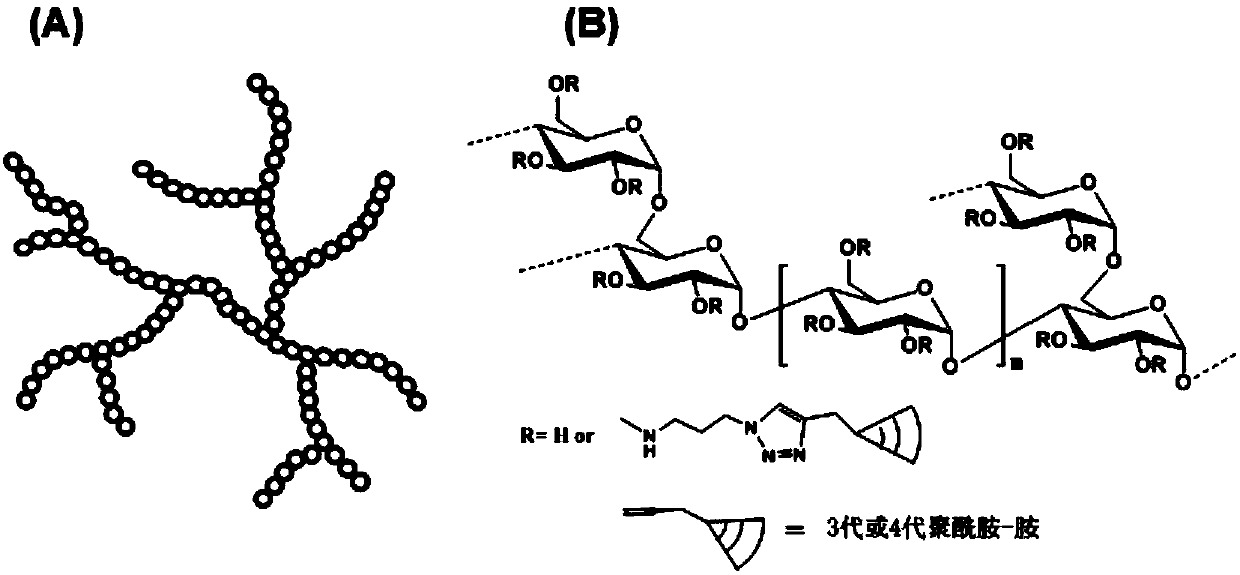 Highly-hyperbranched cationic polysaccharide derivative containing dendritic polyamidoamine group and preparation method of highly-hyperbranched cationic polysaccharide derivative