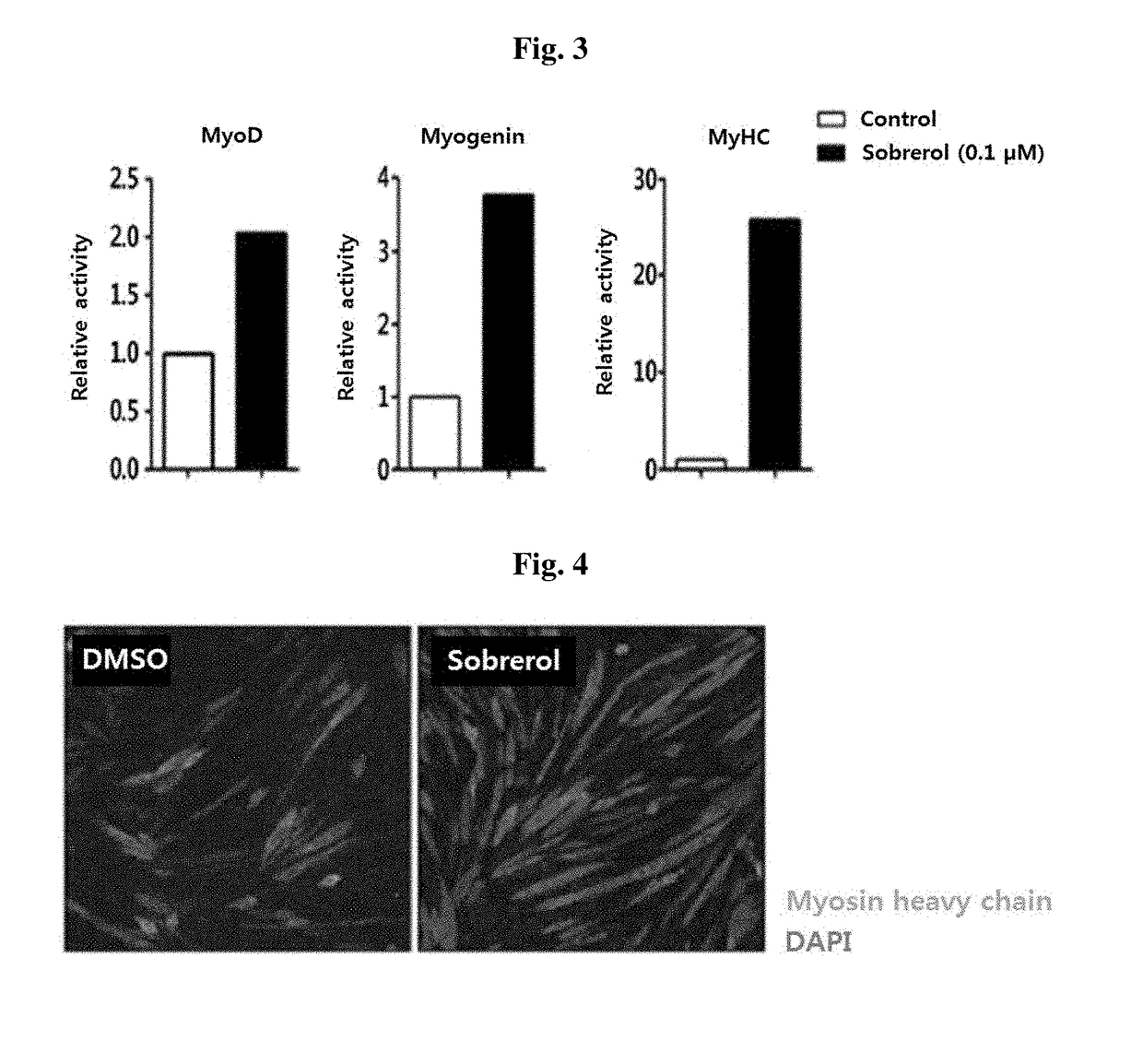 Composition for preventing or treating muscle weakness-related diseases comprising sobrerol