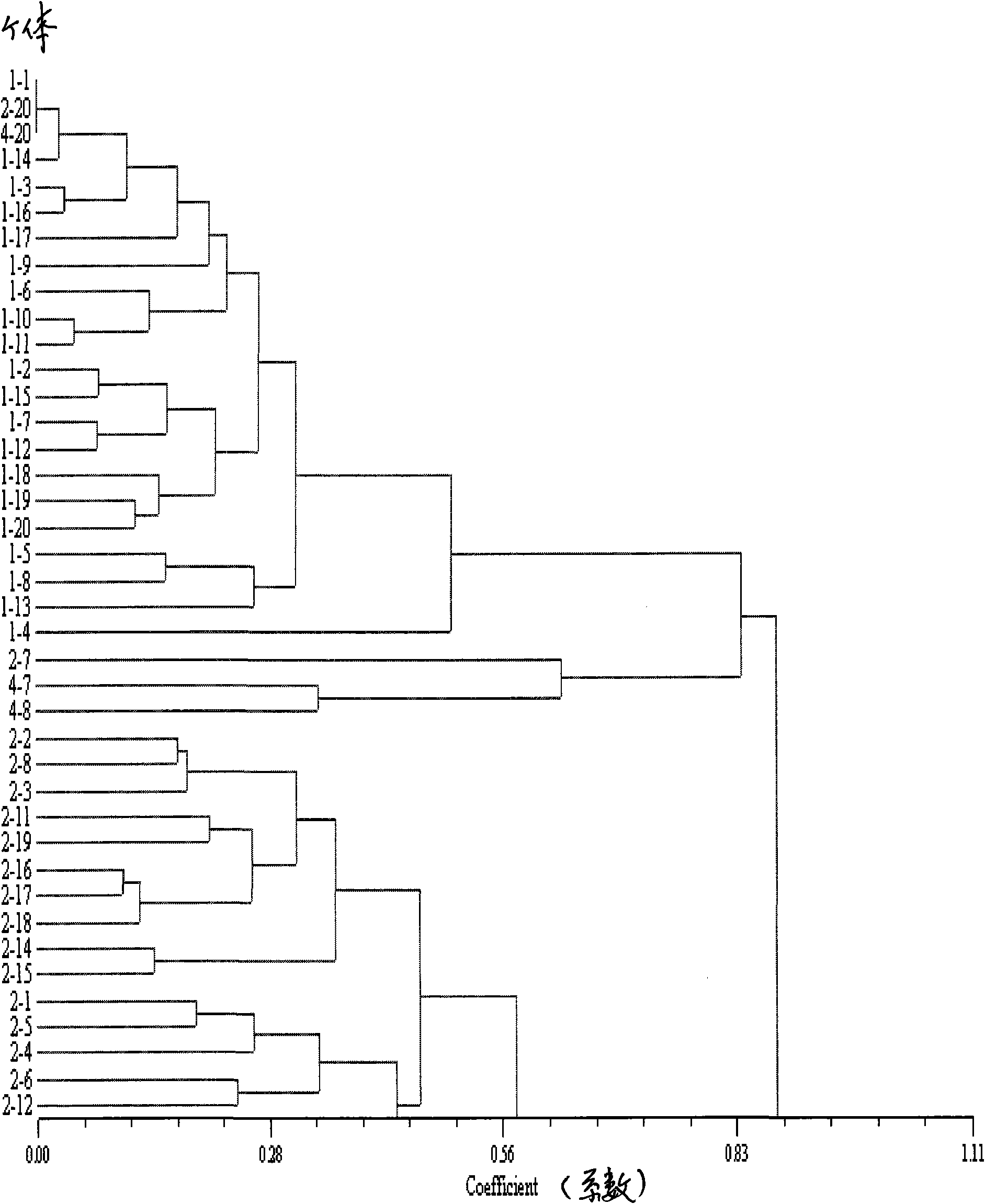 Microsatellite multi-PCR (Polymerase Chain Reaction) method for turbot paternity test