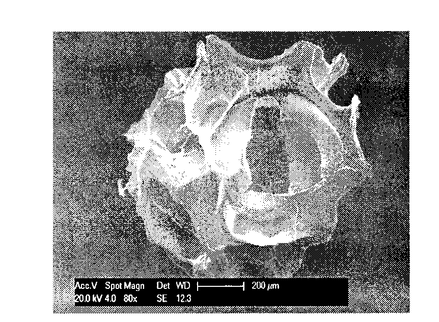 Alginate hydrogel microcarrier and preparation method thereof