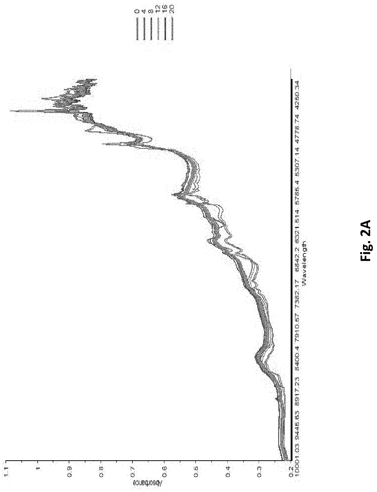 Compositions and methods for the treatment of hemoglobinopathies and thalassemias